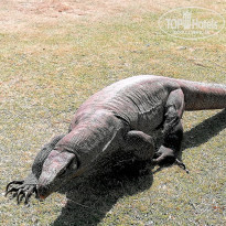 фото из отзыва ID 2123736