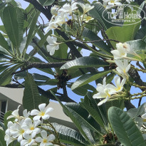 фото из отзыва ID 2123759