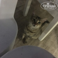 фото из отзыва ID 2123793