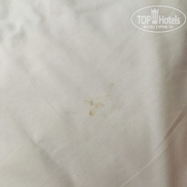 фото из отзыва ID 2123793