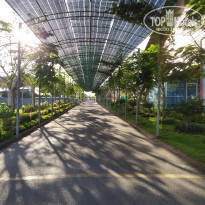 фото из отзыва ID 2123794