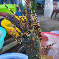 фото из отзыва ID 2123794