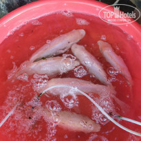 фото из отзыва ID 2123794