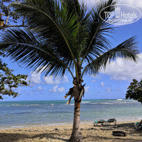 фото из отзыва ID 2123797