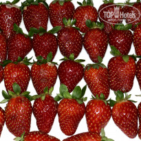 фото из отзыва ID 2123819