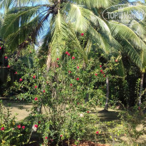 фото из отзыва ID 2123899