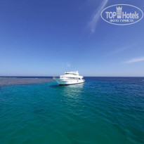 фото из отзыва ID 2123928