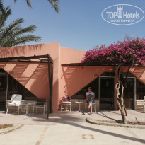 фото из отзыва ID 2123928