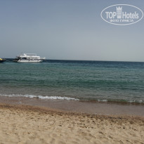 фото из отзыва ID 2123928