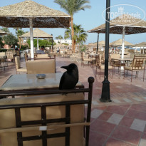 фото из отзыва ID 2123928