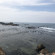 фото из отзыва ID 2123926