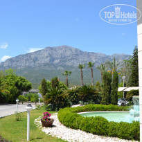 фото из отзыва ID 2124003