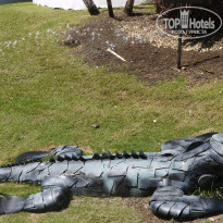 фото из отзыва ID 2124016