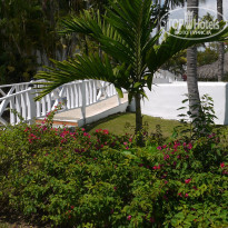 фото из отзыва ID 2124016