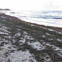 фото из отзыва ID 2124090