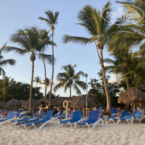 фото из отзыва ID 2124083