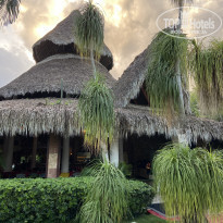 фото из отзыва ID 2124083