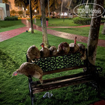 фото из отзыва ID 2124083