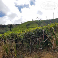 фото из отзыва ID 2124122