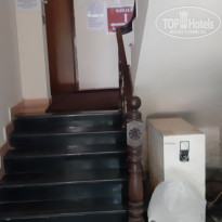 фото из отзыва ID 2124132