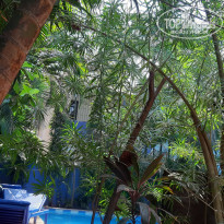 фото из отзыва ID 2124132