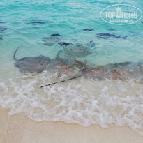 фото из отзыва ID 2124153