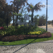 фото из отзыва ID 2124165