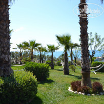 фото из отзыва ID 2124206