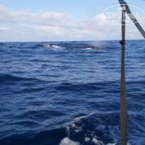 фото из отзыва ID 2124238