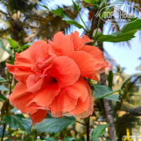 фото из отзыва ID 2124312