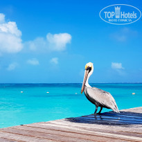 фото из отзыва ID 2124395