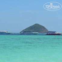 фото из отзыва ID 2124366