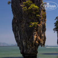 фото из отзыва ID 2124366