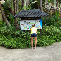 фото из отзыва ID 2124472