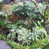 фото из отзыва ID 2124472