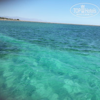 фото из отзыва ID 2124528