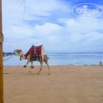 фото из отзыва ID 2124528