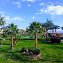 фото из отзыва ID 2124528