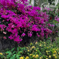 фото из отзыва ID 2124605