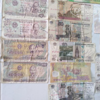 фото из отзыва ID 2124621