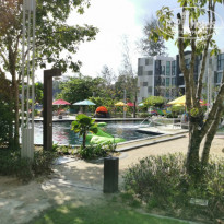 фото из отзыва ID 2124634