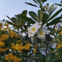 фото из отзыва ID 2124634