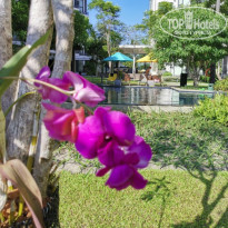 фото из отзыва ID 2124634