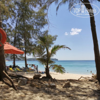 фото из отзыва ID 2124634