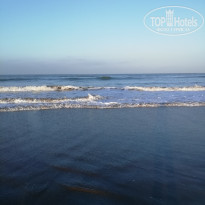 фото из отзыва ID 2124678