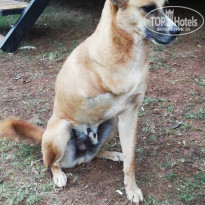 фото из отзыва ID 2124678