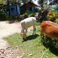 фото из отзыва ID 2124678