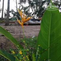 фото из отзыва ID 2124678