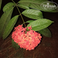 фото из отзыва ID 2124678