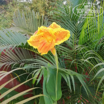 фото из отзыва ID 2124678